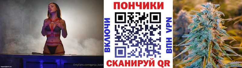 Как найти наркотики Олонец Каннабис  Кокаин  ГАШИШ  Альфа ПВП  Меф мяу мяу 