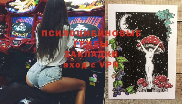 гидра Аркадак