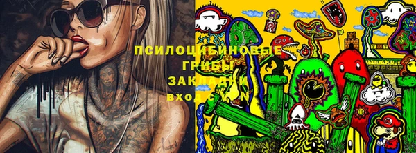 гидра Аркадак