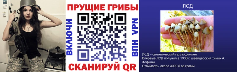 Галлюциногенные грибы Magic Shrooms  купить   Олонец 